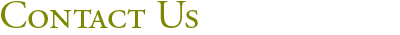Contact Us